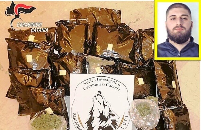 Catania, i “Lupi” sequestrano 11 kg di marijuana in via Lucchese Palli