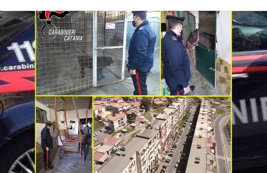 San G. Galermo, ripristino legalità: denunce, sequestri e sanzioni nel quartiere