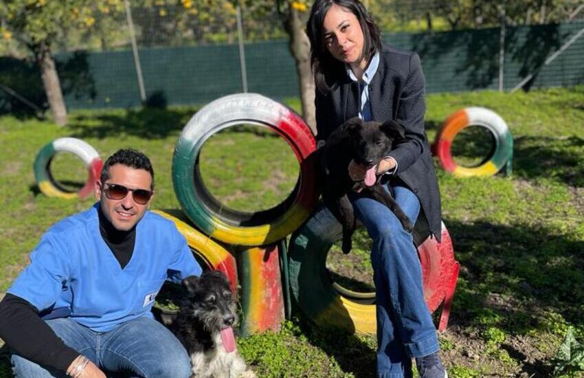 Catania, assistenza gratuita per gli animali domestici se il proprietario è in ospedale per Covid