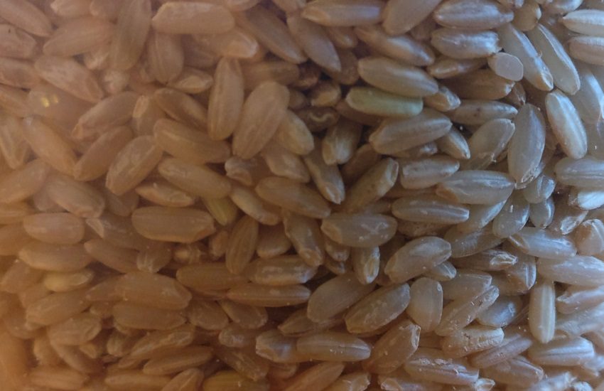 Abbiamo riso per una cosa seria: raccolta fondi a sostegno dell’agricoltura familiare in Italia e nel mondo