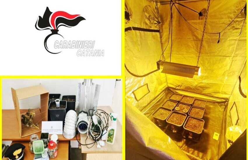 Aci Castello, diceva d’aver allestito una serra per uso “personale”: arrestato spacciatore