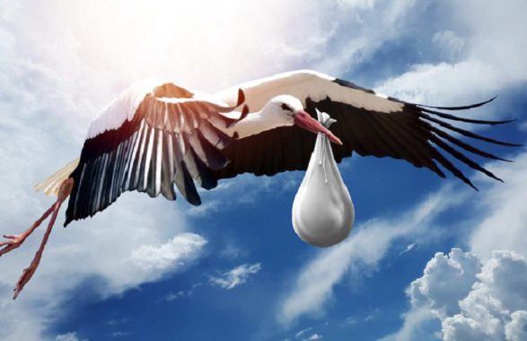 Fiocco rosa o fiocco azzurro? Mai così poche nascite