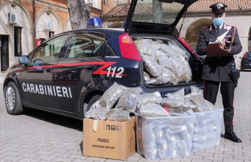 Controlli anti-Covid 19 nel bolognese: 4 arresti e 37 kg di droga sequestrati