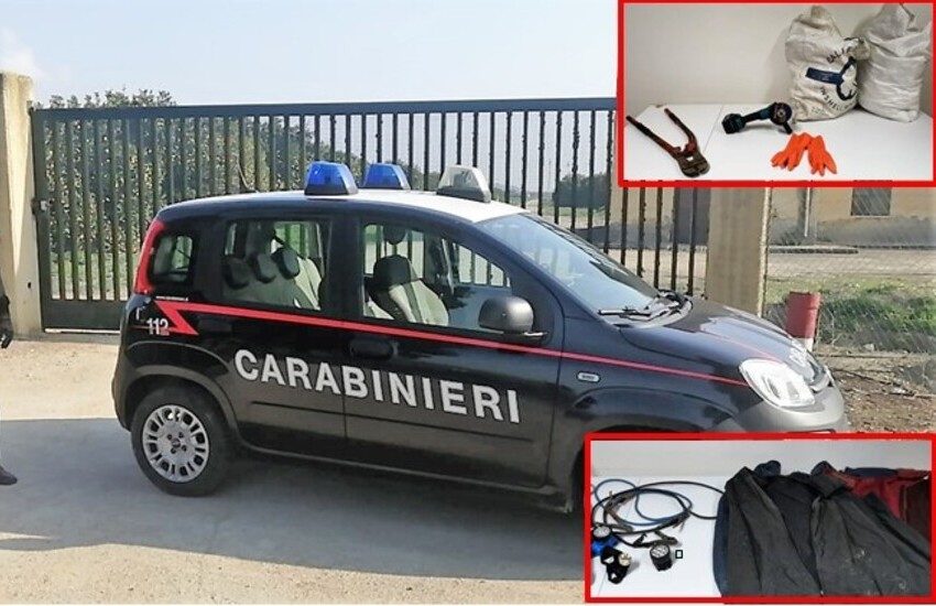 Mineo, erano pronti a razziare un agrumeto, denunciati due catanesi in trasferta
