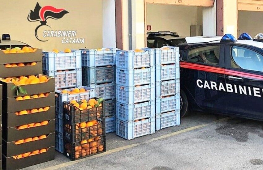 Paternò, si lanciano dall’auto in corsa per guadagnarsi la fuga, avevano rubato una tonnellata di arance