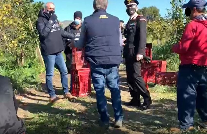 Grammichele, braccianti stranieri sfruttati: maxi sanzione al titolare dell’azienda