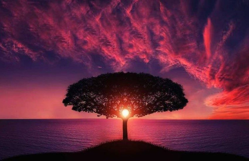 Da Terracina la bella storia di Salvatore, che ha trovato il suo angelo custode…