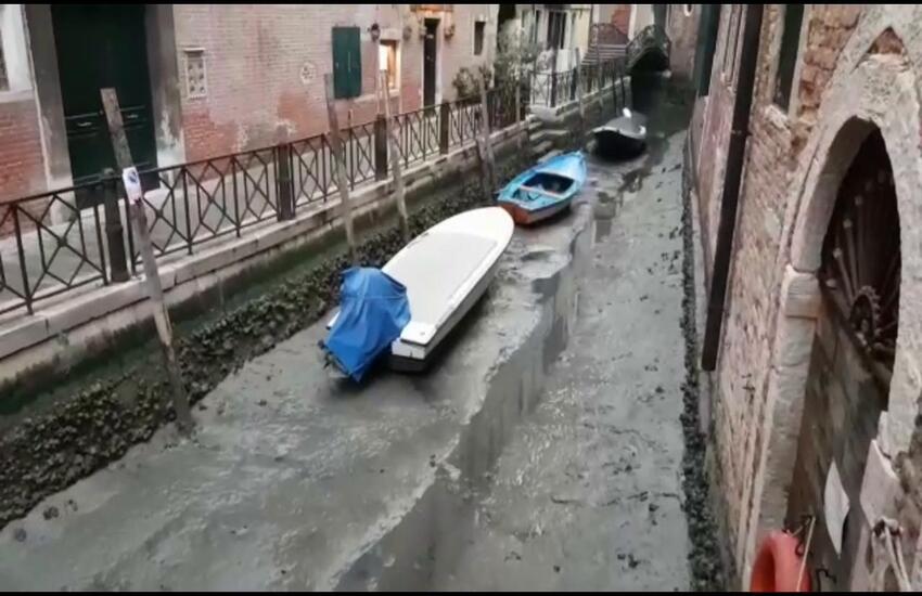 Venezia in secca diventa virale
