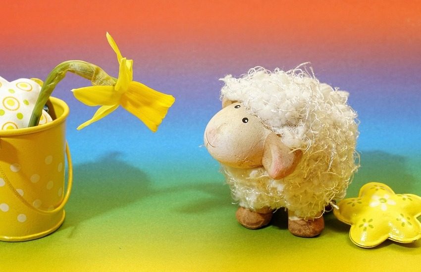 Agnello pasquale sostiene la sopravvivenza di 60mila pastori