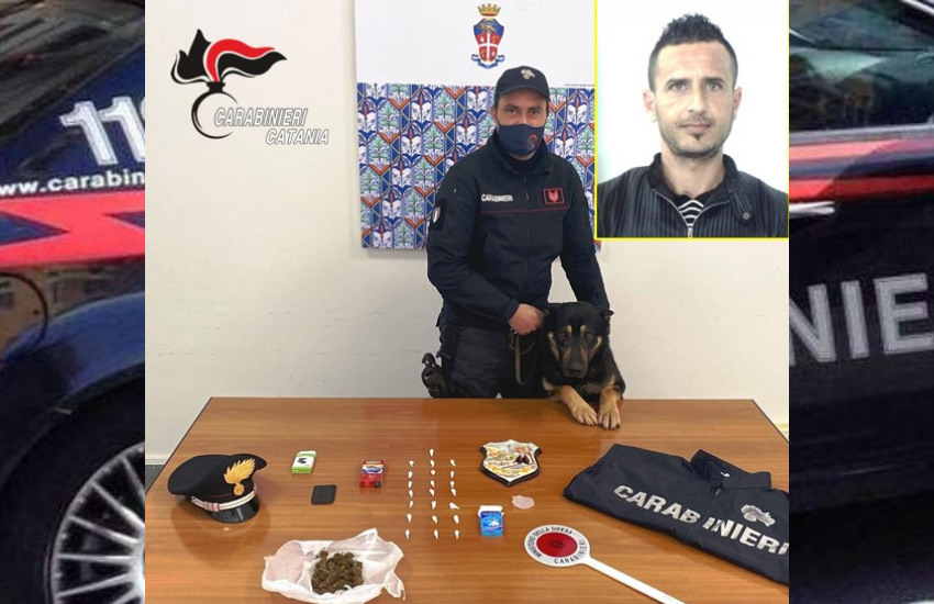 Caltagirone, spacciatore albanese viene beffato dai cani antidroga, arrestato