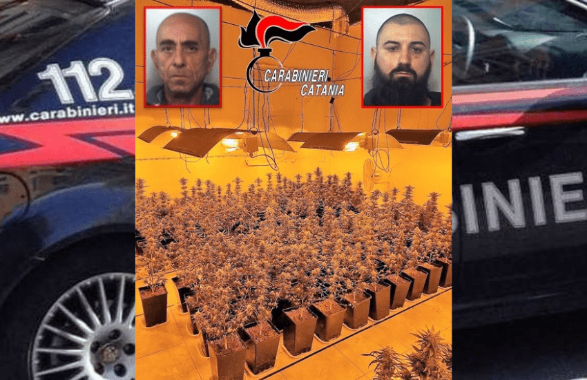 San Giovanni Galermo, sequestrata piantagione di “skunk”, arrestati i due coltivatori
