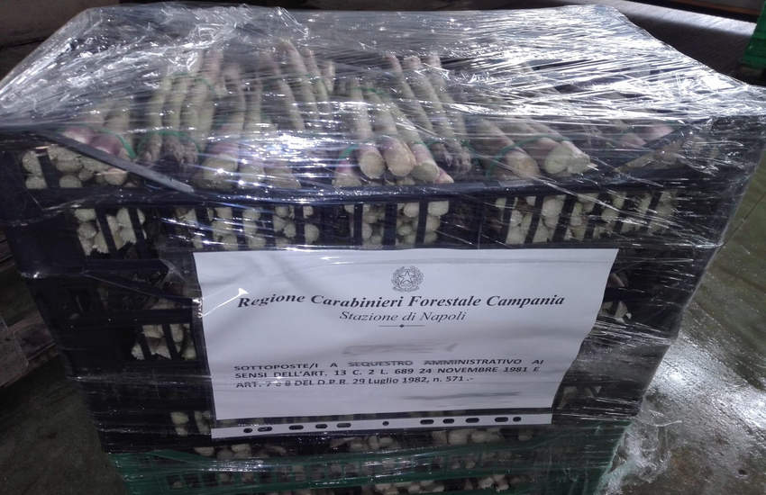 Sequestrata a Volla una tonnellata di frutta e verdura: riportavano false indicazioni sulla provenienza