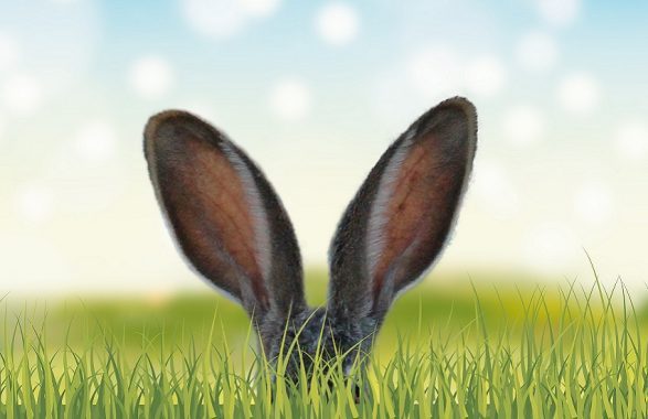 Pasqua: sulla tavola del dì di festa la Colomba batte l’uovo