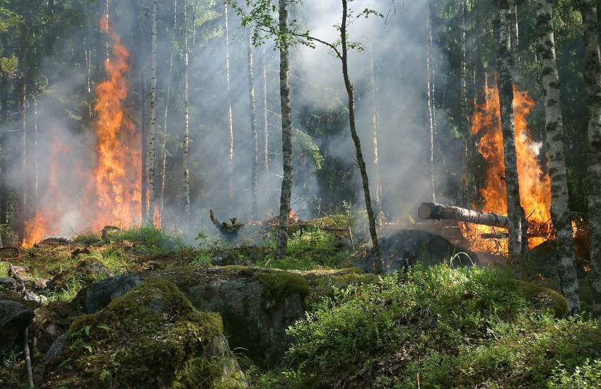 Incendi boschivi, il 15 aprile cessa lo stato di massima pericolosità