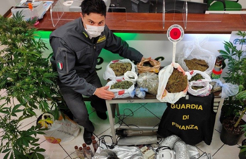 Aprilia, coltivava marijuana mentre e percepiva il reddito di cittadinanza: arrestato
