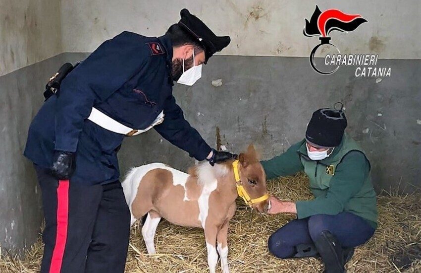 San Giovanni Galermo, lotta all’illegalità diffusa, battuto palmo a palmo il quartiere