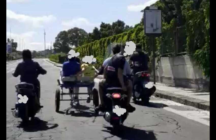 Zia Lisa, corse di cavalli clandestine: indagate 11 persone, tra questi 4 minori