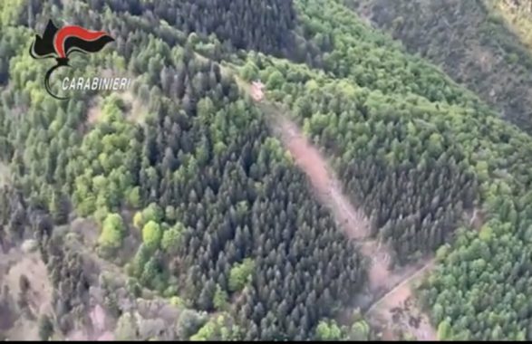 Funivia del Mottarone: si è rotto un cavo