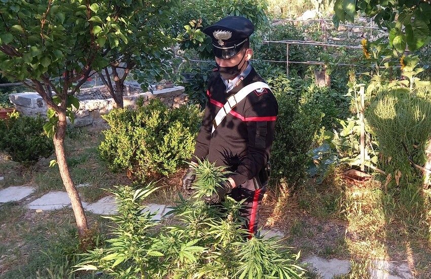 Operazione “La Torre di Messina”: sgominata banda che distribuiva droga nella zona di Taormina – Giardini Naxos