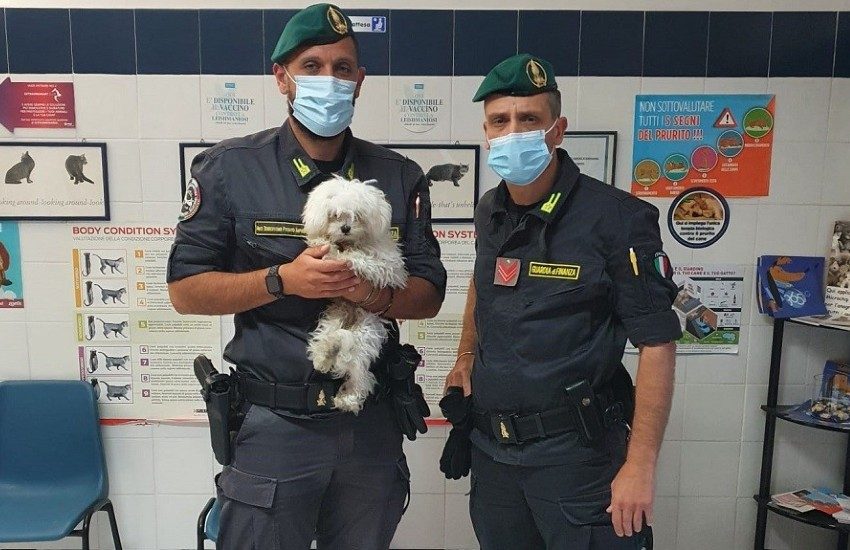 Minturno, scoperto poliambulatorio veterinario gestito da un medico radiato