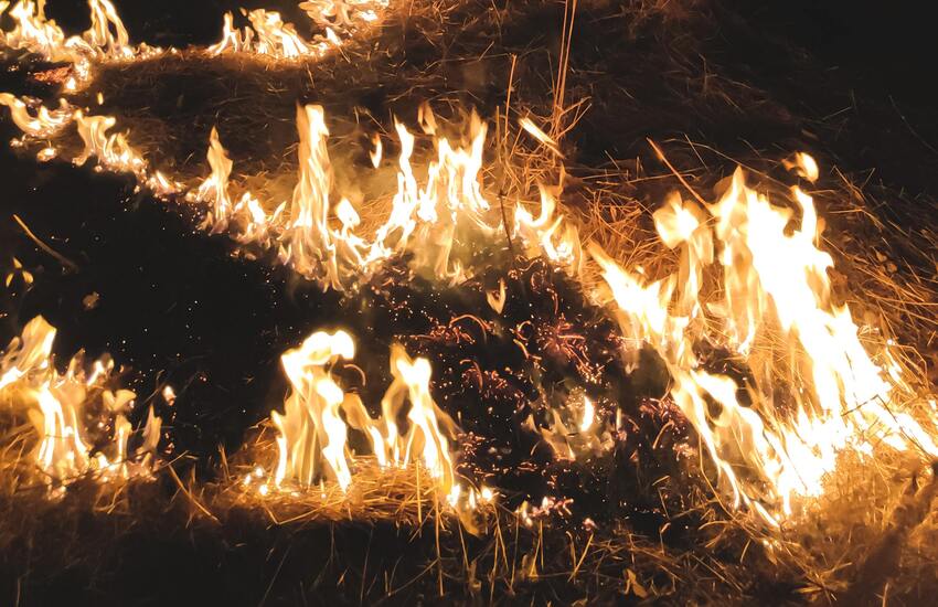 Ambiente – Interrogazione alla Commissione Europea, Corrao: “C’è una regia dietro gli incendi dolosi”