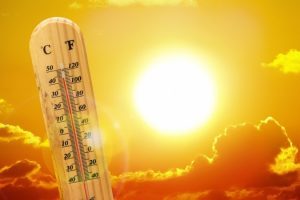 L’Oms: ‘In Italia 5 decessi in 24 ore per il caldo. Il 6 luglio riunione d’emergenza con gli Stati Ue’. Oggi 25 città bollino rosso