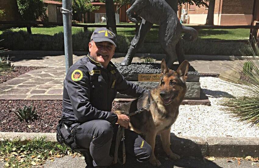 Catania, il cane “ZARO” dell’unità cinofila delle fiamme gialle etnee va in pensione