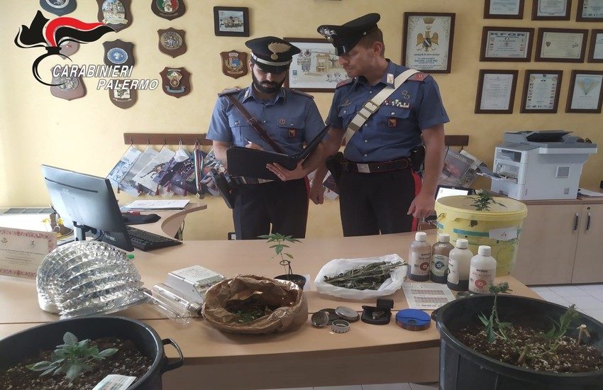 Bolognetta – Piantagione di droga indoor, i Carabinieri arrestano padre e figlio
