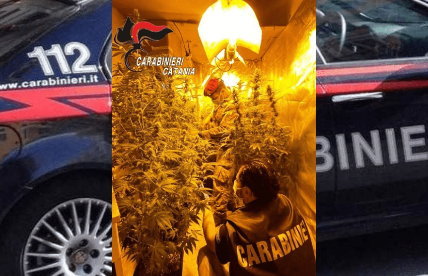 Castel di Iudica, Giumarra battuta a tappeto, due arresti per coltivazione di droga