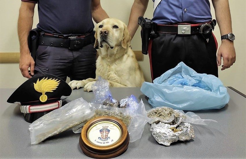 Mascali, droga nascosta nel terreno vicino casa, preso con le mani nel sacco grazie a “Ivan”