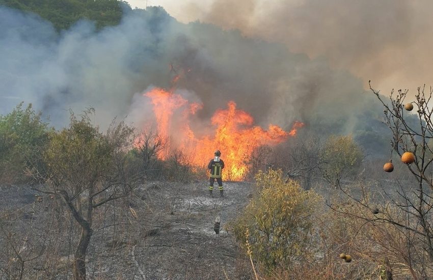 Fiamme nel Salento. Brucia la marina, a rogo ettari di bosco e macchia