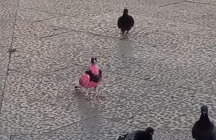 Fondi, strani avvistamenti in piazza