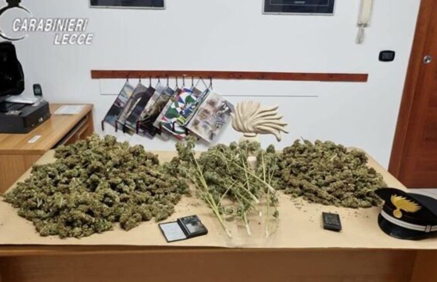 In casa laboratorio per essiccare 3 chili di Marijuana, arrestato per spaccio 47enne