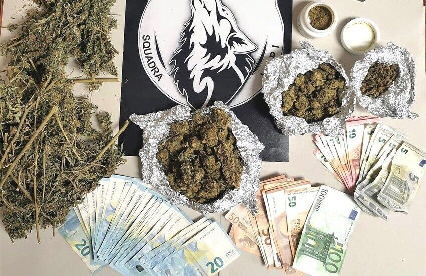 Canalicchio, accoglieva i clienti con la pianta di canapa in esposizione, arrestato