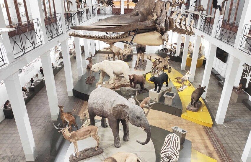 Catania, ecco il “nuovo” Museo di Zoologia dell’università