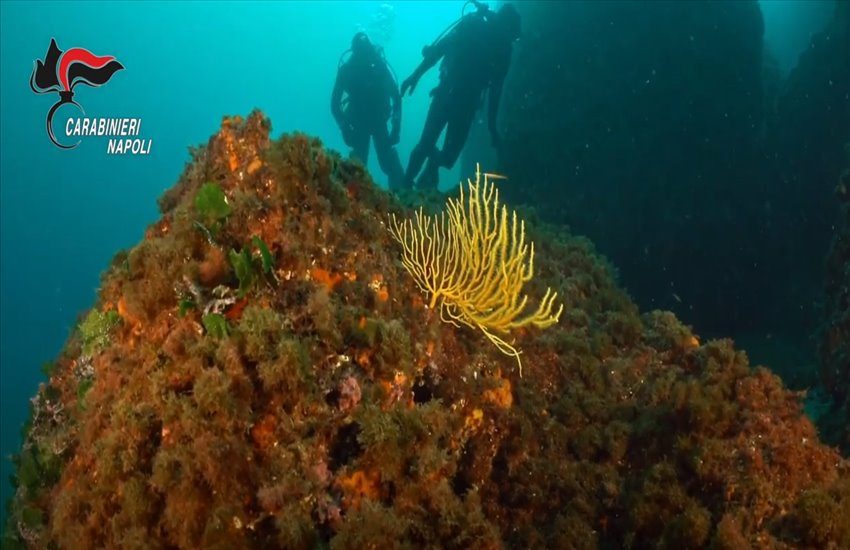 Bracconaggio ittico nel Parco Sommerso della Gaiola a Posillipo, denunciati 5 bracconieri. Così distruggono l’ecosistema marino (VIDEO)