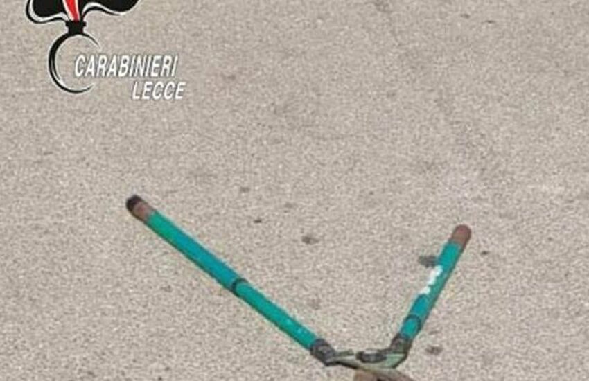 Maltrattamenti in famiglia. Minaccia il padre con una cesoia e delle pietre, arrestato