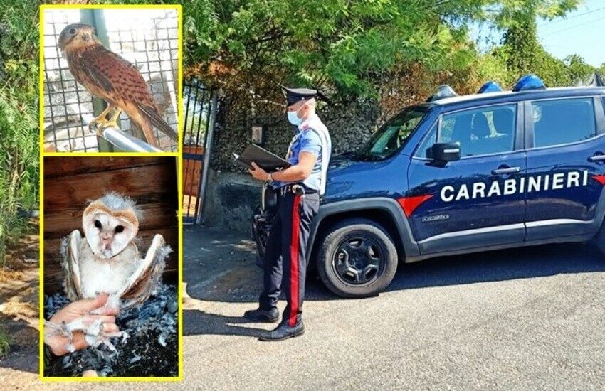 Ragalna, catturava e deteneva uccelli di specie protetta con … acqua e luce gratis