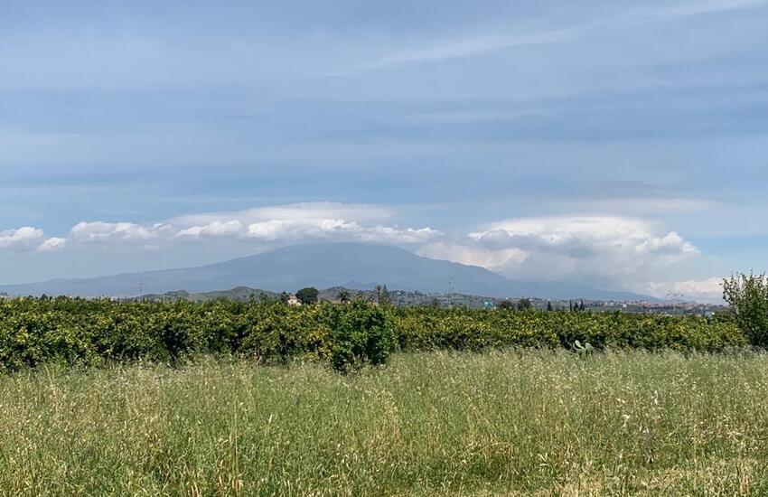 Catania, 30 ettari di terreni agricoli confiscati alla mafia affidati ad associazioni per usi sociali