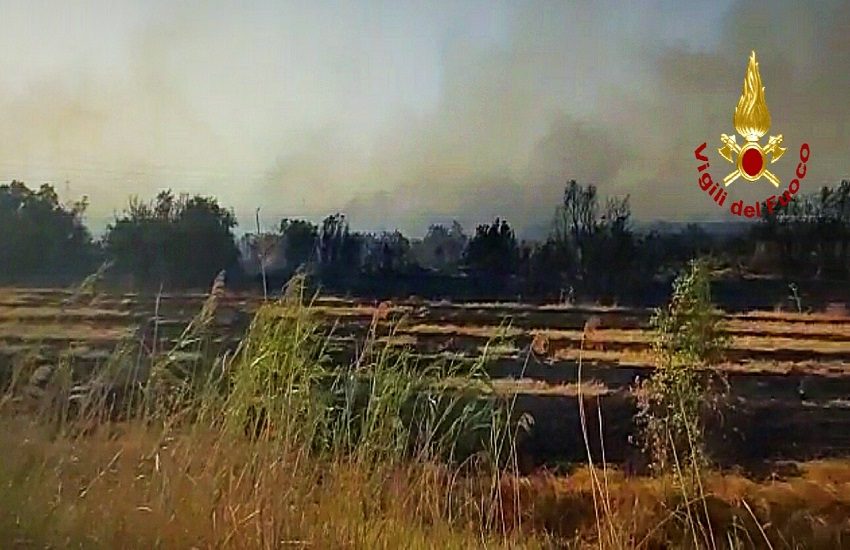 In fiamme 50 ettari tra il ponte Primosole e fiume Gornalunga: Vigili del Fuoco e Forestale sul posto – FOTO