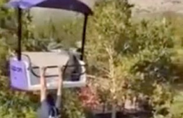 Parco a tema: uomo precipita dopo essere rimasto appeso a più di 15 metri di altezza