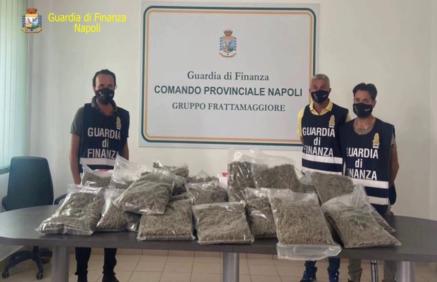 Marijuana inviata per posta presso un centro di spedizione di Frattamaggiore, sequestrati 22 chili di droga