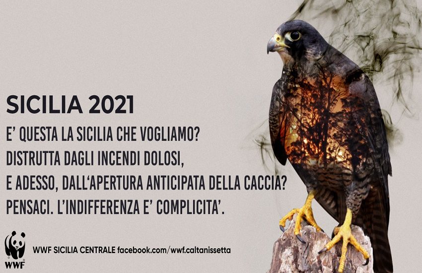 Sicilia, apertura stagione della caccia: le associazioni animaliste fanno sentire la loro voce