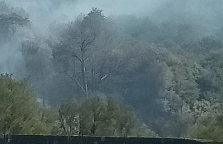 Rogo al Parco dell’Etna, 12 ettari bruciati: origine dolosa