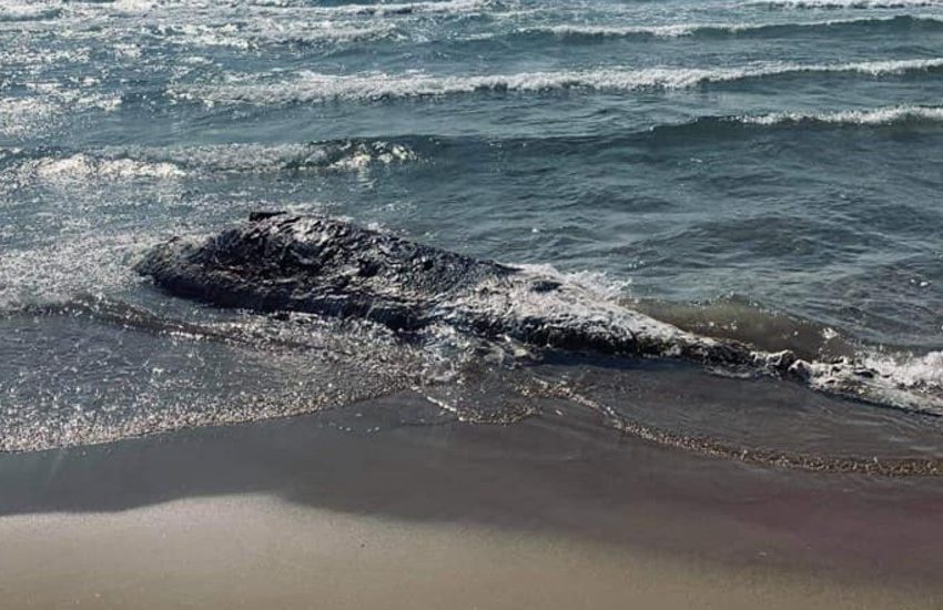 Roma, trovato cadavere di una donna sulla spiaggia di Fiumicino