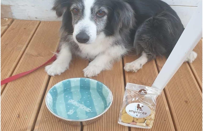 Welcome Dog: a Donnalucata una coccola per i propri amici a 4 zampe