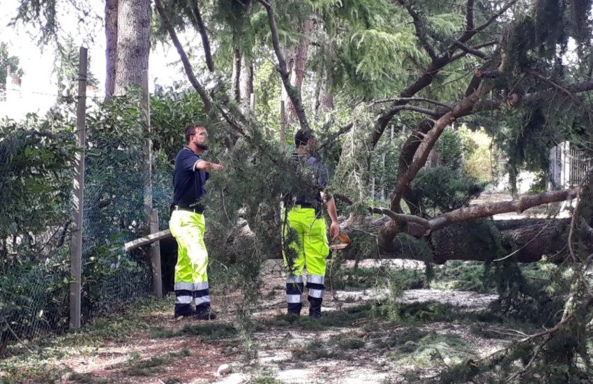 Paura nel Salento. Anziana scompare nel nulla, ritrovata in un fossato