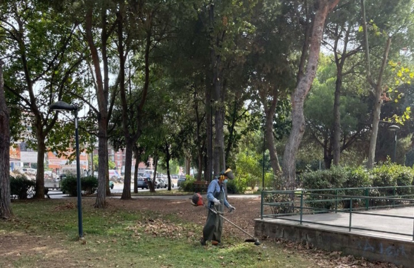 Catania, Parco Falcone, interventi di manutenzione al verde pubblico