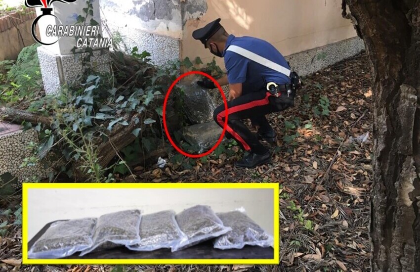 Giarre, scoperto un deposito di marijuana all’interno del parco Jungo