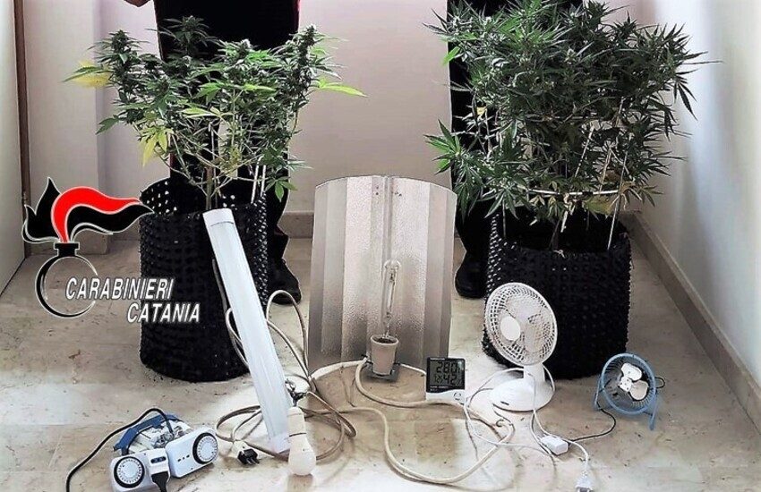 Acireale, marijuana fai da te: arrestato un incensurato